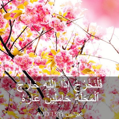 Picture 03 - عِبرانِيّين 13:13 AVD - فَلْنَخْرُجْ إِذًا - Bible Verse Picture