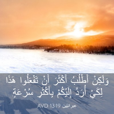Picture 03 - عِبرانِيّين 13:19 AVD - وَلَكِنْ أَطْلُبُ - Bible Verse Picture