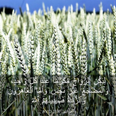 Picture 03 - عِبرانِيّين 13:4 AVD - لِيَكُنِ ٱلزِّوَاجُ - Bible Verse Picture