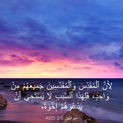 Picture 03 - عِبرانِيّين 2:11 AVD - لِأَنَّ ٱلْمُقَدِّسَ - Bible Verse Picture