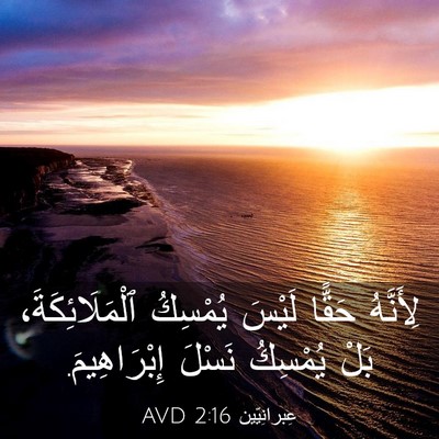 Picture 03 - عِبرانِيّين 2:16 AVD - لِأَنَّهُ حَقًّا لَيْسَ - Bible Verse Picture