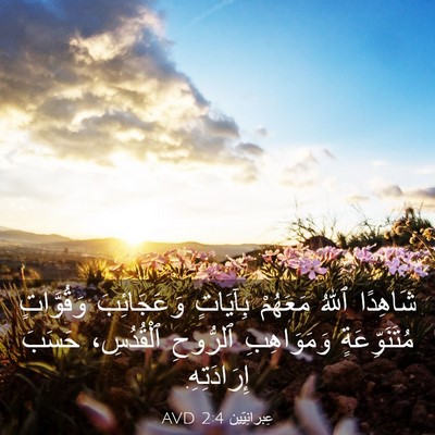 Picture 03 - عِبرانِيّين 2:4 AVD - شَاهِدًا ٱللهُ مَعَهُمْ - Bible Verse Picture