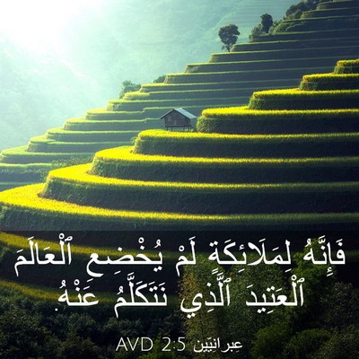 Picture 03 - عِبرانِيّين 2:5 AVD - فَإِنَّهُ لِمَلَائِكَةٍ - Bible Verse Picture