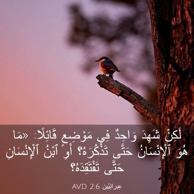 Picture 03 - عِبرانِيّين 2:6 AVD - لَكِنْ شَهِدَ وَاحِدٌ فِي - Bible Verse Picture