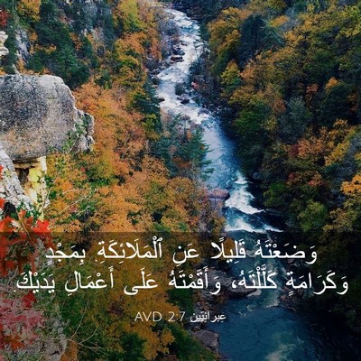 Picture 03 - عِبرانِيّين 2:7 AVD - وَضَعْتَهُ قَلِيلًا عَنِ - Bible Verse Picture