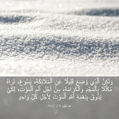 Picture 03 - عِبرانِيّين 2:9 AVD - وَلَكِنَّ ٱلَّذِي وُضِعَ - Bible Verse Picture