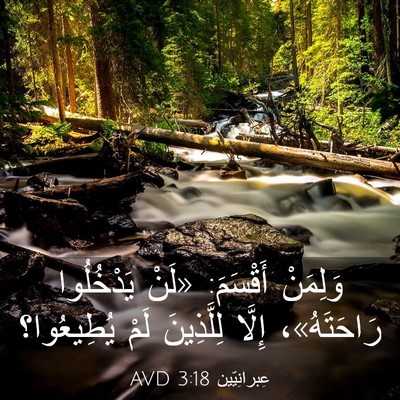Picture 03 - عِبرانِيّين 3:18 AVD - وَلِمَنْ أَقْسَمَ: «لَنْ - Bible Verse Picture