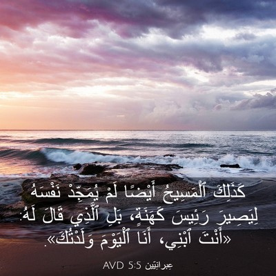 Picture 03 - عِبرانِيّين 5:5 AVD - كَذَلِكَ ٱلْمَسِيحُ - Bible Verse Picture