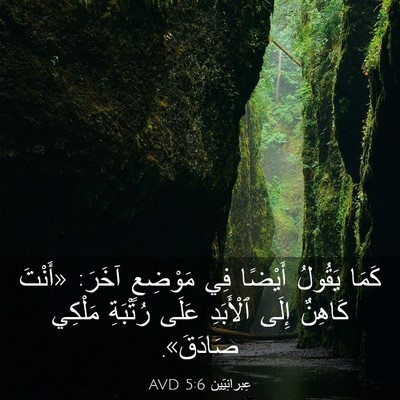 Picture 03 - عِبرانِيّين 5:6 AVD - كَمَا يَقُولُ أَيْضًا فِي - Bible Verse Picture