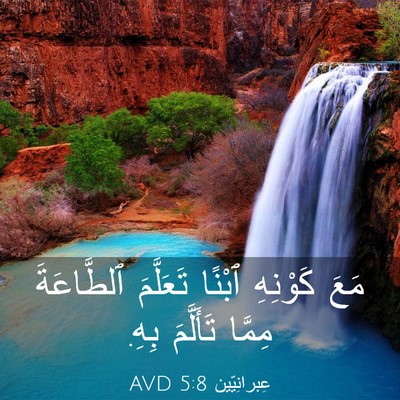 Picture 03 - عِبرانِيّين 5:8 AVD - مَعَ كَوْنِهِ ٱبْنًا - Bible Verse Picture