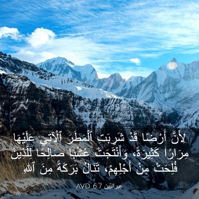 Picture 03 - عِبرانِيّين 6:7 AVD - لِأَنَّ أَرْضًا قَدْ - Bible Verse Picture
