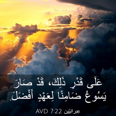 Picture 03 - عِبرانِيّين 7:22 AVD - عَلَى قَدْرِ ذَلِكَ، قَدْ - Bible Verse Picture