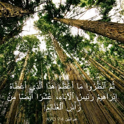 Picture 03 - عِبرانِيّين 7:4 AVD - ثُمَّ ٱنْظُرُوا مَا - Bible Verse Picture
