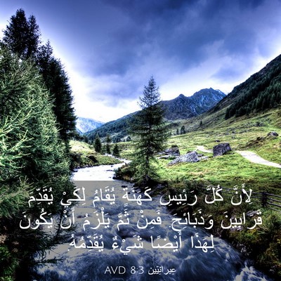 Picture 03 - عِبرانِيّين 8:3 AVD - لِأَنَّ كُلَّ رَئِيسِ - Bible Verse Picture