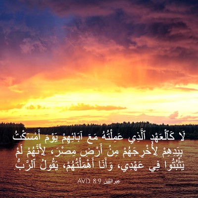 Picture 03 - عِبرانِيّين 8:9 AVD - لَا كَٱلْعَهْدِ ٱلَّذِي - Bible Verse Picture