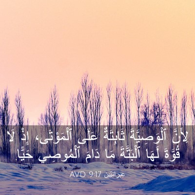 Picture 03 - عِبرانِيّين 9:17 AVD - لِأَنَّ ٱلْوَصِيَّةَ - Bible Verse Picture