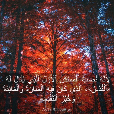 Picture 03 - عِبرانِيّين 9:2 AVD - لِأَنَّهُ نُصِبَ - Bible Verse Picture