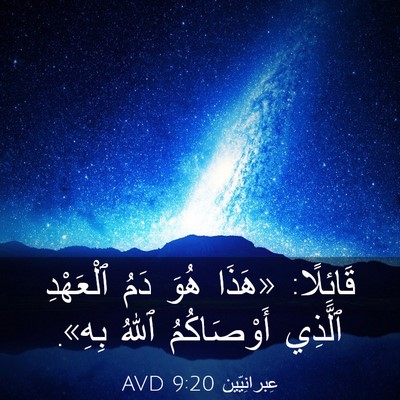 Picture 03 - عِبرانِيّين 9:20 AVD - قَائِلًا: «هَذَا هُوَ دَمُ - Bible Verse Picture