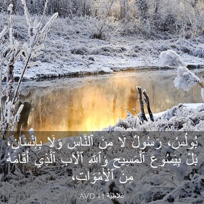 Picture 03 - غَلاطِيَّة 1:1 AVD - بُولُسُ، رَسُولٌ لَا مِنَ - Bible Verse Picture