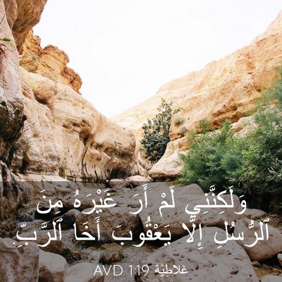 Picture 03 - غَلاطِيَّة 1:19 AVD - وَلَكِنَّنِي لَمْ أَرَ - Bible Verse Picture