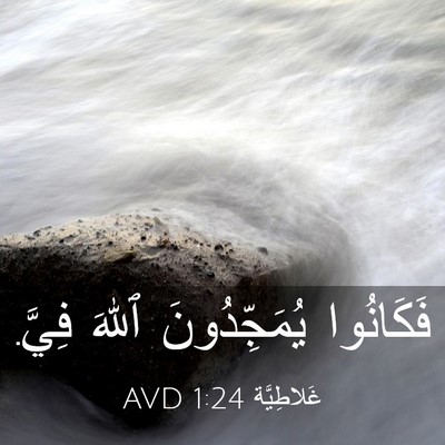 Picture 03 - غَلاطِيَّة 1:24 AVD - فَكَانُوا يُمَجِّدُونَ - Bible Verse Picture