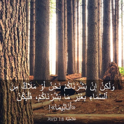 Picture 03 - غَلاطِيَّة 1:8 AVD - وَلَكِنْ إِنْ - Bible Verse Picture