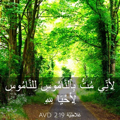 Picture 03 - غَلاطِيَّة 2:19 AVD - لِأَنِّي مُتُّ - Bible Verse Picture