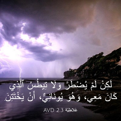 Picture 03 - غَلاطِيَّة 2:3 AVD - لَكِنْ لَمْ يُضْطَرَّ - Bible Verse Picture