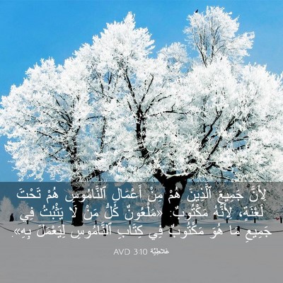 Picture 03 - غَلاطِيَّة 3:10 AVD - لِأَنَّ جَمِيعَ ٱلَّذِينَ - Bible Verse Picture