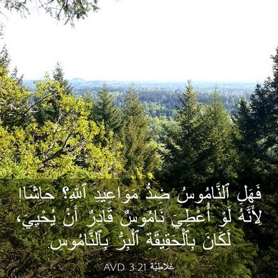 Picture 03 - غَلاطِيَّة 3:21 AVD - فَهَلِ ٱلنَّامُوسُ ضِدُّ - Bible Verse Picture