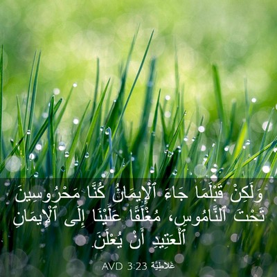 Picture 03 - غَلاطِيَّة 3:23 AVD - وَلَكِنْ قَبْلَمَا جَاءَ - Bible Verse Picture