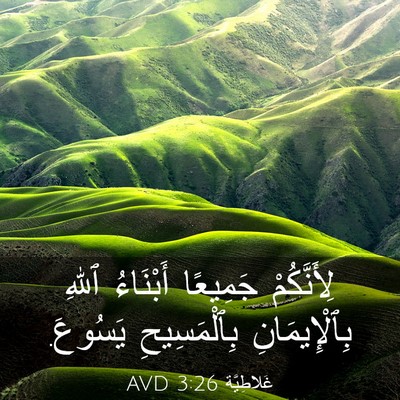 Picture 03 - غَلاطِيَّة 3:26 AVD - لِأَنَّكُمْ جَمِيعًا - Bible Verse Picture
