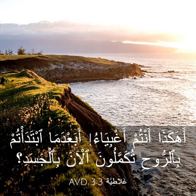 Picture 03 - غَلاطِيَّة 3:3 AVD - أَهَكَذَا أَنْتُمْ - Bible Verse Picture