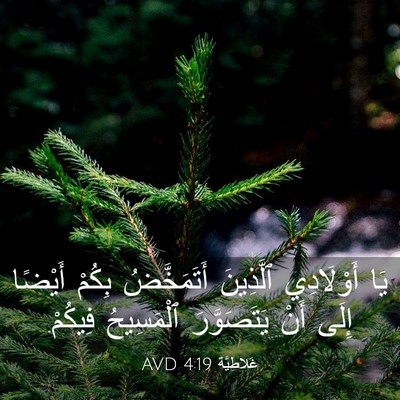 Picture 03 - غَلاطِيَّة 4:19 AVD - يَا أَوْلَادِي ٱلَّذِينَ - Bible Verse Picture