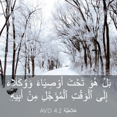Picture 03 - غَلاطِيَّة 4:2 AVD - بَلْ هُوَ تَحْتَ - Bible Verse Picture