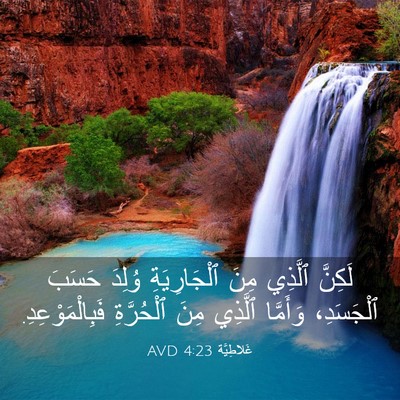 Picture 03 - غَلاطِيَّة 4:23 AVD - لَكِنَّ ٱلَّذِي مِنَ - Bible Verse Picture