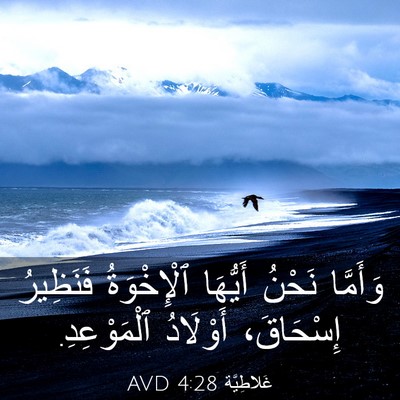 Picture 03 - غَلاطِيَّة 4:28 AVD - وَأَمَّا نَحْنُ أَيُّهَا - Bible Verse Picture