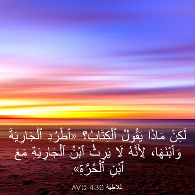 Picture 03 - غَلاطِيَّة 4:30 AVD - لَكِنْ مَاذَا يَقُولُ - Bible Verse Picture