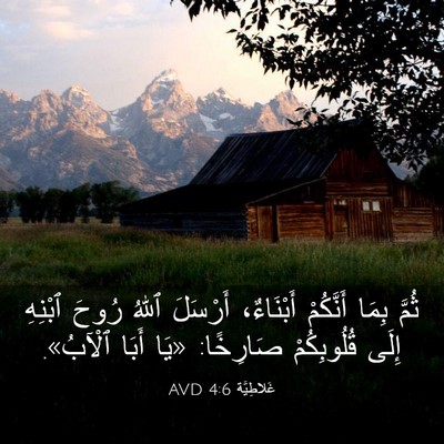 Picture 03 - غَلاطِيَّة 4:6 AVD - ثُمَّ بِمَا أَنَّكُمْ - Bible Verse Picture