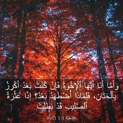 Picture 03 - غَلاطِيَّة 5:11 AVD - وَأَمَّا أَنَا أَيُّهَا - Bible Verse Picture