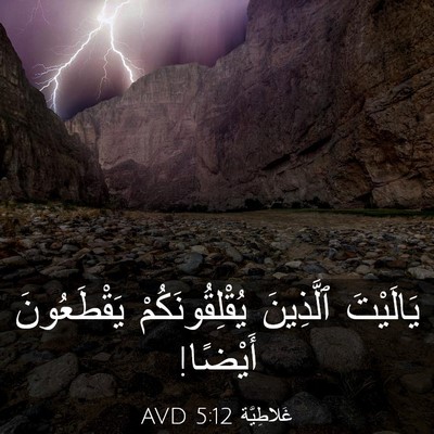 Picture 03 - غَلاطِيَّة 5:12 AVD - يَالَيْتَ ٱلَّذِينَ - Bible Verse Picture