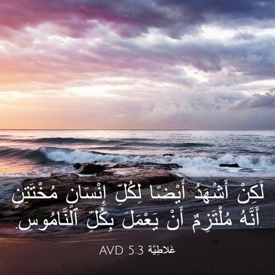 Picture 03 - غَلاطِيَّة 5:3 AVD - لَكِنْ أَشْهَدُ أَيْضًا - Bible Verse Picture