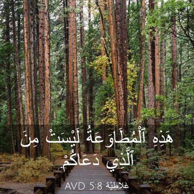 Picture 03 - غَلاطِيَّة 5:8 AVD - هَذِهِ ٱلْمُطَاوَعَةُ - Bible Verse Picture