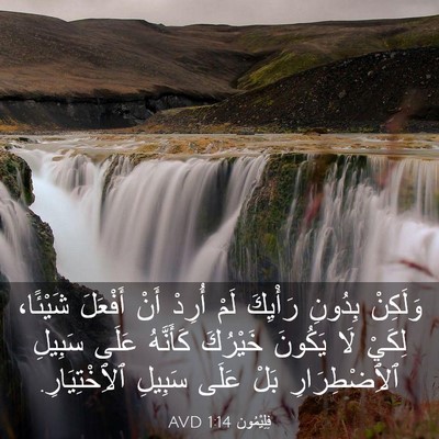 Picture 03 - فِلِيْمُون 1:14 AVD - وَلَكِنْ بِدُونِ رَأْيِكَ - Bible Verse Picture