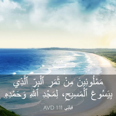 Picture 03 - فِيلِبِّي 1:11 AVD - مَمْلُوئِينَ مِنْ ثَمَرِ - Bible Verse Picture