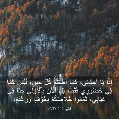 Picture 03 - فِيلِبِّي 2:12 AVD - إِذًا يَا أَحِبَّائِي، - Bible Verse Picture