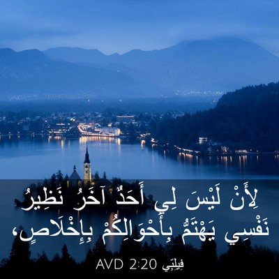 Picture 03 - فِيلِبِّي 2:20 AVD - لِأَنْ لَيْسَ لِي أَحَدٌ - Bible Verse Picture