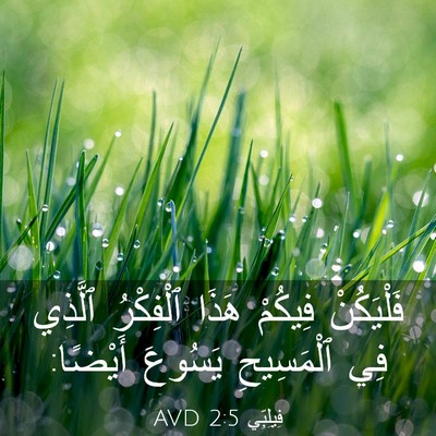 Picture 03 - فِيلِبِّي 2:5 AVD - فَلْيَكُنْ فِيكُمْ هَذَا - Bible Verse Picture