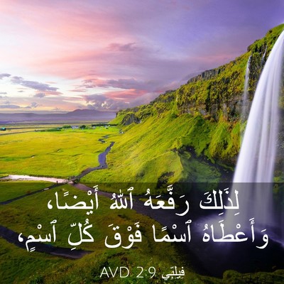 Picture 03 - فِيلِبِّي 2:9 AVD - لِذَلِكَ رَفَّعَهُ ٱللهُ - Bible Verse Picture