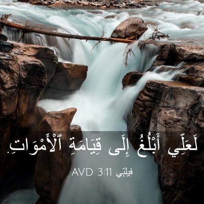 Picture 03 - فِيلِبِّي 3:11 AVD - لَعَلِّي أَبْلُغُ إِلَى - Bible Verse Picture